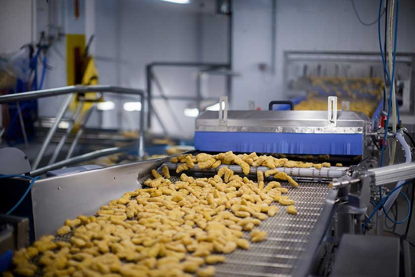 Food processing machine